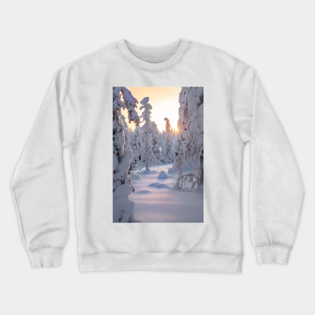 Arctic Winter Crewneck Sweatshirt by geoffshoults